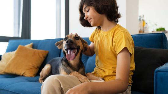 Imagen referencial de un perro en el interior de una casa.