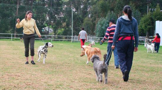 Imagen de archivo de tutores y sus perros en un curso de adiestramiento canino en Ecuador.