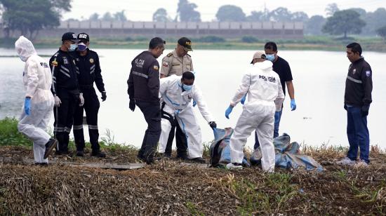 En el sector Las Cañitas en el kilómetro 12 de la vía Jujan- Babahoyo se hallaron ocho cuerpos en sacas de arroz, el 3 de junio del 2026, correspondientes a jóvenes desaparecidos del sector de la T de Daule.