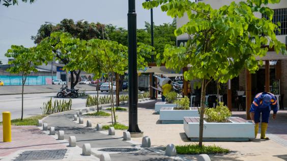 Obras de regeneración en calle Portete, Guayaquil