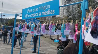 La campaña 'Crecer a medias no es crecer' se expuso en el bulevar de la avenida Naciones Unidas en Quito
