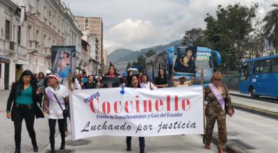 El colectivo Coccinelli exige reparación integral por violación de derechos humanos.