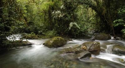 Bellavista es parte del Chocó Andino, que abarca tres cantones de Pichincha. 