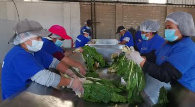 El Banco de Alimentos recibe 30 toneladas de productos cada semana