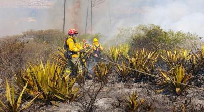 Incendio forestal en Carcelén, Quito