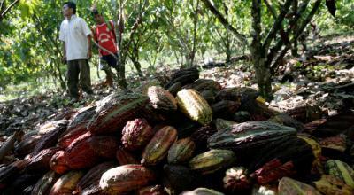 Dos agricultores junto a una pila de cacao en el departamento peruano de Ayacucho.