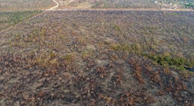 Vista de un área afectada por un incendio en el estado de Mato Grosso (Brasil). 