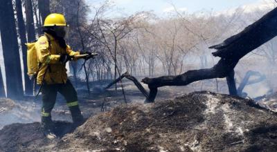 El Cuerpo de Bomberos de Quito informó que el incendio se encuentra controlado.