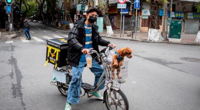 Un hombre con una máscara sanitaria lleva a su perro en la cesta de su bicicleta en Cantón, provincia de Guangdong (China).