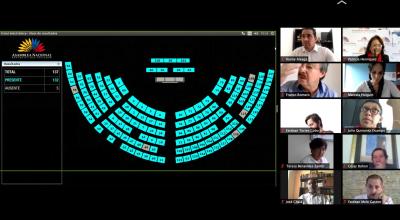 El Pleno de la Asamblea sesionó mediante videoconferencia el 2 de mayo de 2020 para continuar el primer debate del proyecto de Ley Humanitaria.