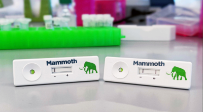 Prototipo de prueba CRISPR para detectar covid-19 de Mammoth.