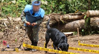 Militar realiza inspección de minado en la frontera con su perro.