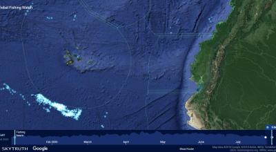 Global Fishing Watch muestra en tiempo real el desplazamiento de las flotas pesqueras en el mundo, se puede observar las que se mantenían al borde del límite marítimo de Galápagos, hasta el 28 de julio de 2020.