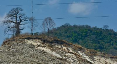 Vista aérea del bosque protector Cerro Blanco, ubicado al noroeste de Guayaquil, el 2 de octubre de 2020.