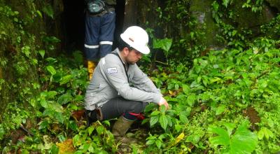 Un técnico de la Enami durante un análisis de campo en el bosque protector Los Cedros, en noviembre de 2018.