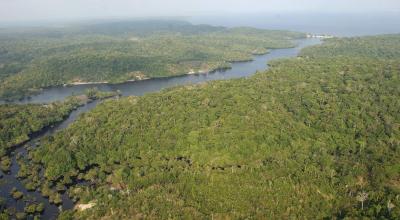 Fotografía del archivo del 5 de agosto de 2014, que muestra una vista general de una área selvática cercana a Manaos, en la Amazonía (Brasil). 