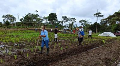 Productores de la Comunidad "San Guillermo", en Pastaza, el 8 de junio de 2021. 