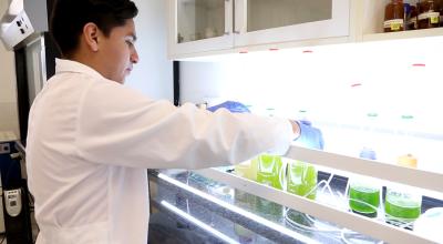 Investigador en el laboratorio de la UISEK estudiando las microalgas.