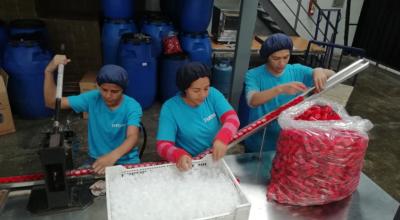 Ambiente en una fábrica de plásticos, en Quito, en marzo de 2019.