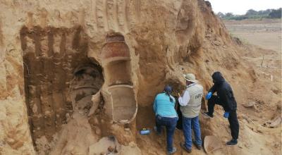 Vestigios ecológicos fueron hallados en una bananera en Vinces (Los Ríos).