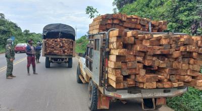 Militares realizan un operativo para incautar madera ilegal, el 6 de septiembre de 2021 en Esmeraldas.