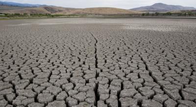 El lago Little Washoe, Nevada-Estados Unidos, se está secando. A medida que la sequía continúa en la costa oeste, los niveles de los lagos bajan y ya no son capaces de sostener a los peces.