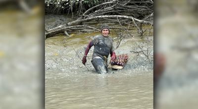 Los hermanos Linder y Kevin se dedican a la capura de cangrejos rojos en el manglar de Guayas.