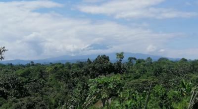 Vista del volcán Sumaco y parte de la selva de Tena.