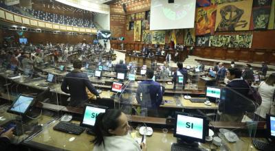 El Pleno de la Asamblea, durante la votación de las amnistías, la madrugada de este 10 de marzo de 2022.