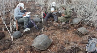 Investigadores tomando datos de las tortugas gigantes de San Cristóbal.