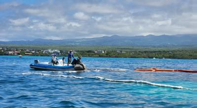 Personal del Parque Nacional Galápagos durante las labores de limpieza, tras el naufragio de un barco, el 23 de abril de 2022.