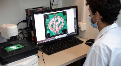 Un científico analiza la célula de un cerebro reconstruida en 3D, 18 de agosto de 2021.
