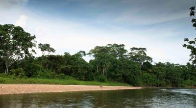 Panorámica de un río de la Amazonía ecuatoriana. 