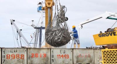 Cargamento de atún en el Terminal Portuario de Manta, en junio de 2021.