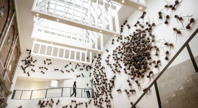 Una exposición con 700 hormigas en la residencia de un artista en Países Bajos, 16 de septiembre de 2022. 