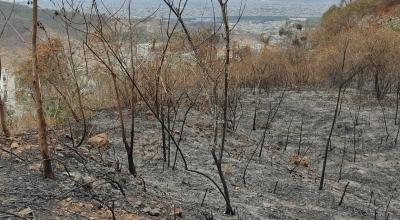 Panorámica del Cerro Azul, luego del incendio forestal del 5 de noviembre de 2022. 