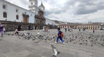 Un niño juega con palomas en la Plaza de San Francisco, el 17 de enero de 2021. El Municipio considera a las palomas como una de las plagas que afectan a a ciudad.