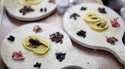 Un plato hecho con insectos, entre ellos gusanos y grillos, en un restaurante de México, el 1 de enero de 2023. 