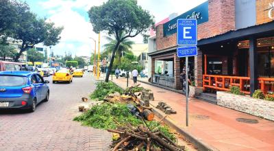 Retiro de árboles 'añosos' en la avenida Víctor Emilio Estrada de Guayaquil, 24 de abril de 2023. 