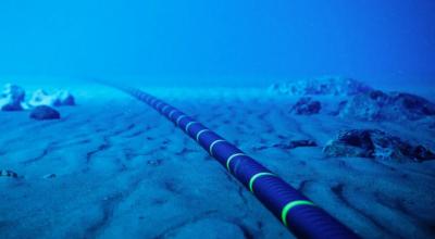 Imagen referencial. Un tramo de un cable submarino en el fondo del océano. 