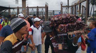 Descarga de cangrejos en el mercado de la Caraguay, al sur de Guayaquil. 