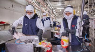 Imagen referencial de trabajadores de la empresa de alimentos Pronaca. 