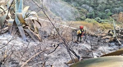 Un bombero de Quito esparce agua en un incendio forestal, el 1 de septiembre e 2023.