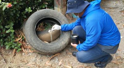 Personal del Ministerio de Salud trabaja para evitar la proliferación de mosquitos que causan el dengue.