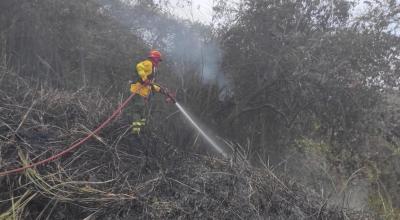 Los bomberos trabajaron cinco horas para controlar el incendio.