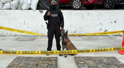 Uno de los últimos decomisos de droga en el puerto de Guayaquil, este 5 de octubre de 2023. 