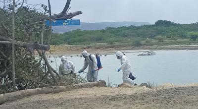 Técnicos del Ministerio del Ambiente inspeccionan una playa de Manabí en donde hay aves muertas por gripe aviar, el 25 de noviembre de 2023.