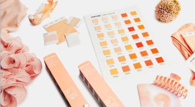 Peach Fuzz en sus distintas gamas de tonalidades, es el nuevo color del año, según Pantone.
