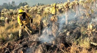 Brigadista realiza tareas de sofocación tras el incendio en El Ángel.