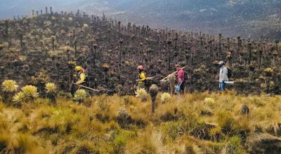 Bomberos y personal de emergencia caminando por un sendero de la reserva ecológica El Ángel, tras el incendio del 29 de enero de 2024.